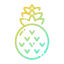 Pineapple 图标 64x64