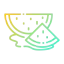 Watermelon 图标 64x64