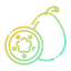 Kiwi 图标 64x64