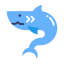 Shark 상 64x64