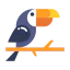 Toucan 상 64x64
