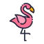 Flamingo 图标 64x64