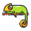 Chameleon 图标 64x64