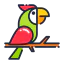 Toucan 图标 64x64
