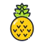 Pineapple 图标 64x64