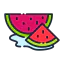 Watermelon 图标 64x64
