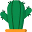 Cactus icon 64x64