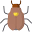 Beetle icon 64x64