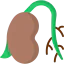 Seed icon 64x64