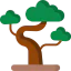 Bonsai icon 64x64