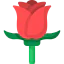 Rose icon 64x64