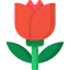 Tulip icon 64x64