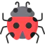 Ladybug icon 64x64