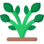 Plant icon 64x64