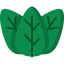 Leaf icon 64x64