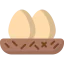 Nest icon 64x64