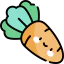 Carrot icon 64x64