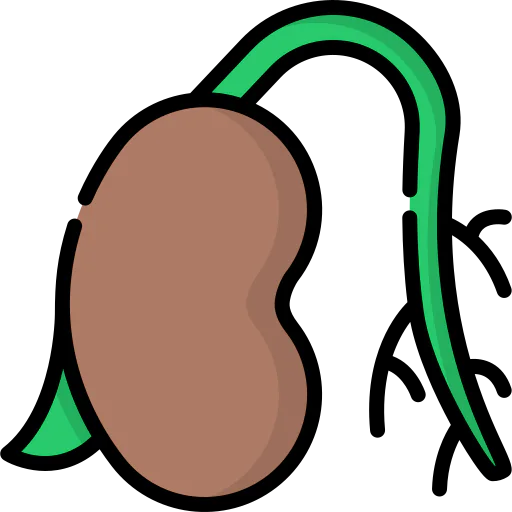 Seed 图标