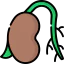 Seed icon 64x64