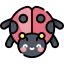 Ladybug icon 64x64