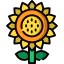 Sunflower icon 64x64