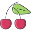 Cherry icon 64x64
