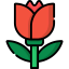 Tulip icon 64x64