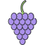 Grapes icon 64x64