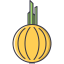 Onion icon 64x64