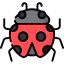 Ladybug icon 64x64