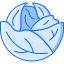Cabbage icon 64x64