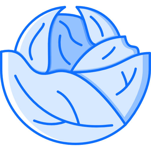 Cabbage icon
