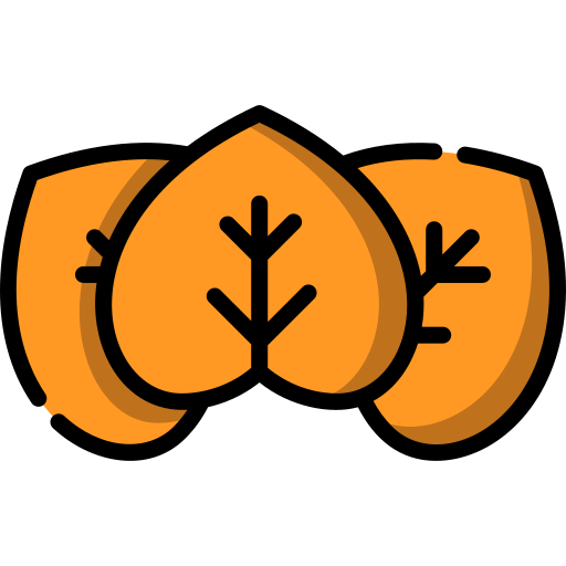 Leaf icon