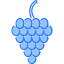 Grapes icon 64x64