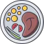Meat icon 64x64