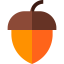 Hazelnut icon 64x64