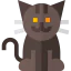 Cat icon 64x64