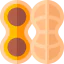 Nut icon 64x64