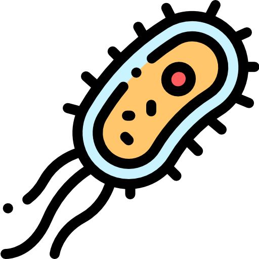 Bacteria icon