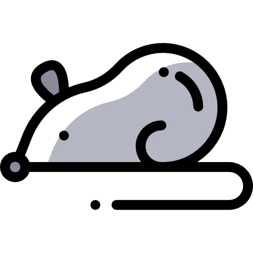 Mouse icon