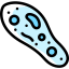 Paramecium アイコン 64x64