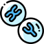 Chromosome アイコン 64x64
