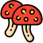Mushrooms icon 64x64