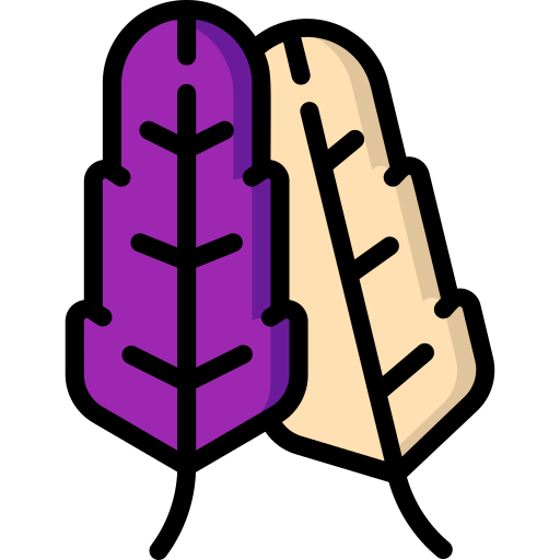 Feathers icon