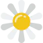 Flower icon 64x64