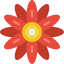 Flower icon 64x64