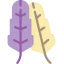Feathers icon 64x64