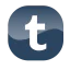 Tumblr icon 64x64