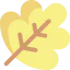 Autumn icon 64x64