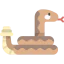 Snake icon 64x64